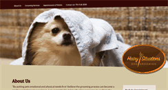 Desktop Screenshot of hairysituationsgrooming.com